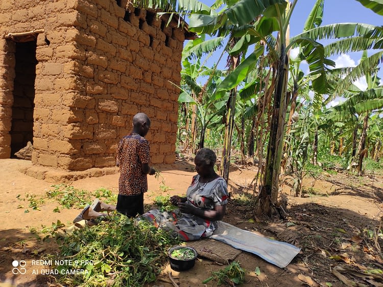 Zelda Ayinkamiye, a 72 year old resident of Ndego sector in Kayonza district, returned from Tanzania in 2020, and stays in the home of a former neighbor