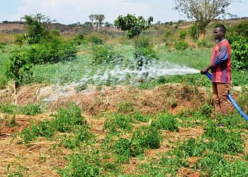Irrigation machine are set up in Kayonza district